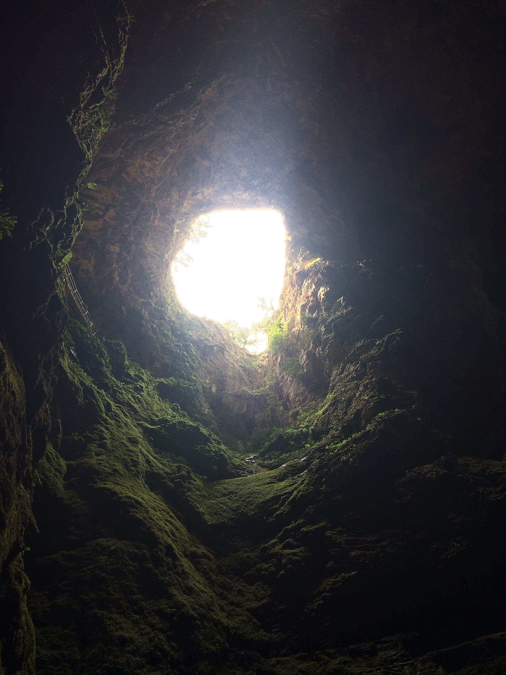 Vista verso l’alto dall’interno della dolina: l’apertura luminosa incorniciata da pareti muschiose